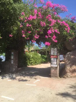 Şahi̇n Tepesi̇ Restaurant resimleri