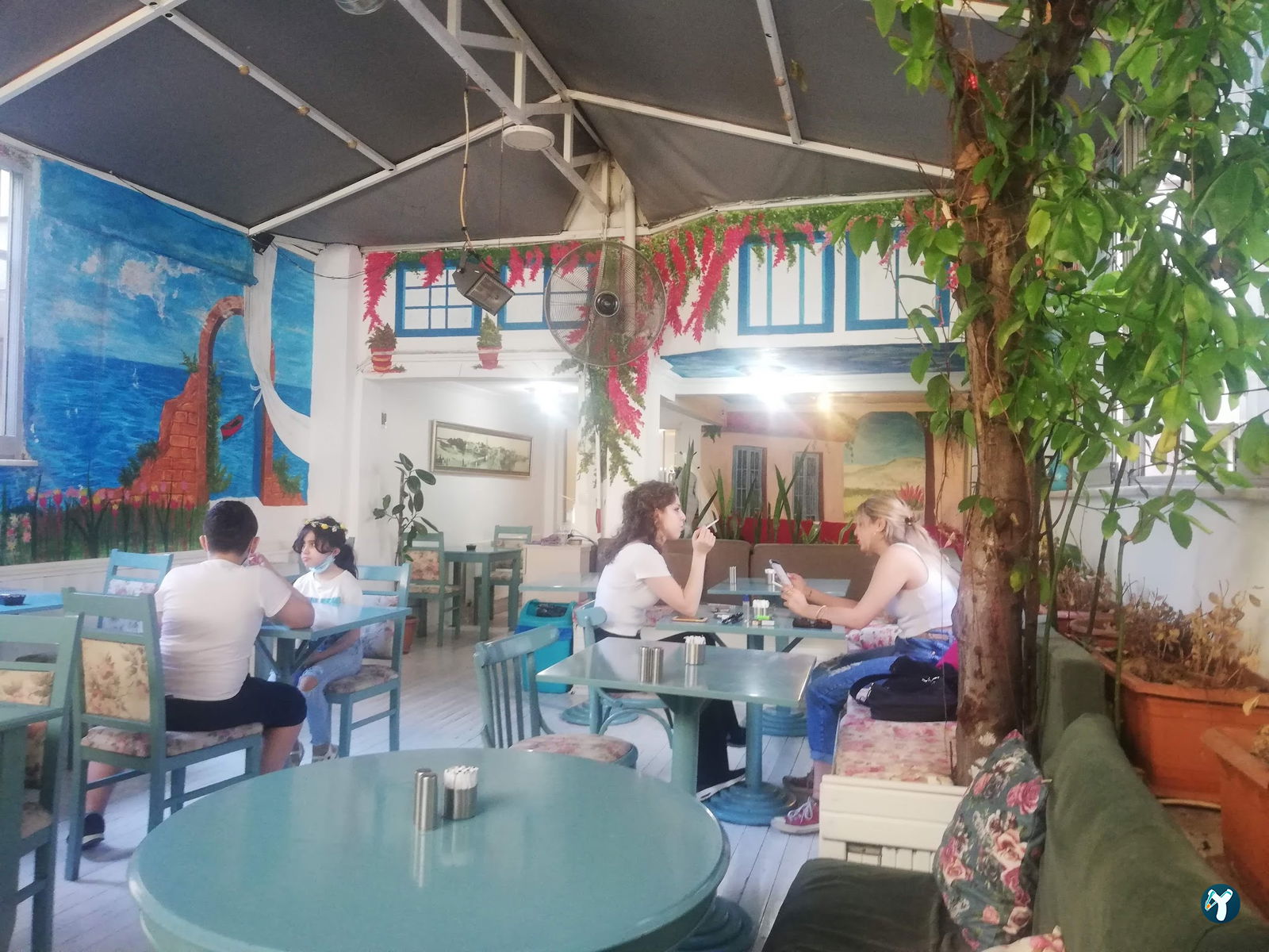 Turkuaz Cafe