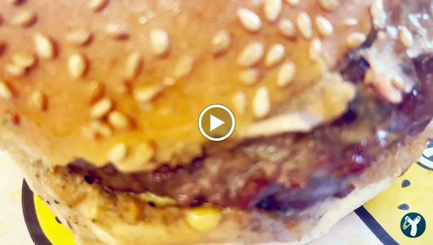 Burger Yiyelim