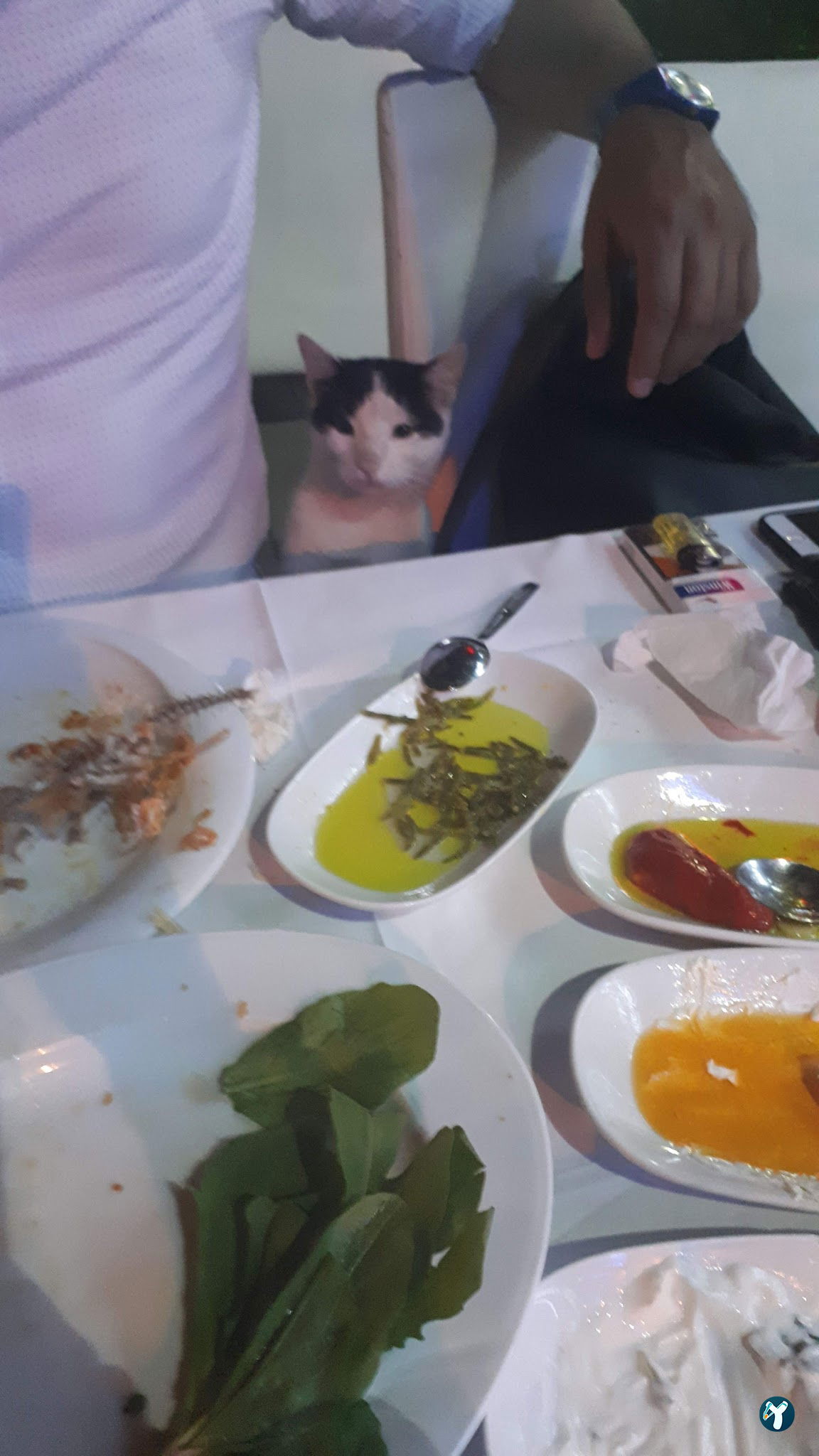 Boğaziçi Balık Restoran