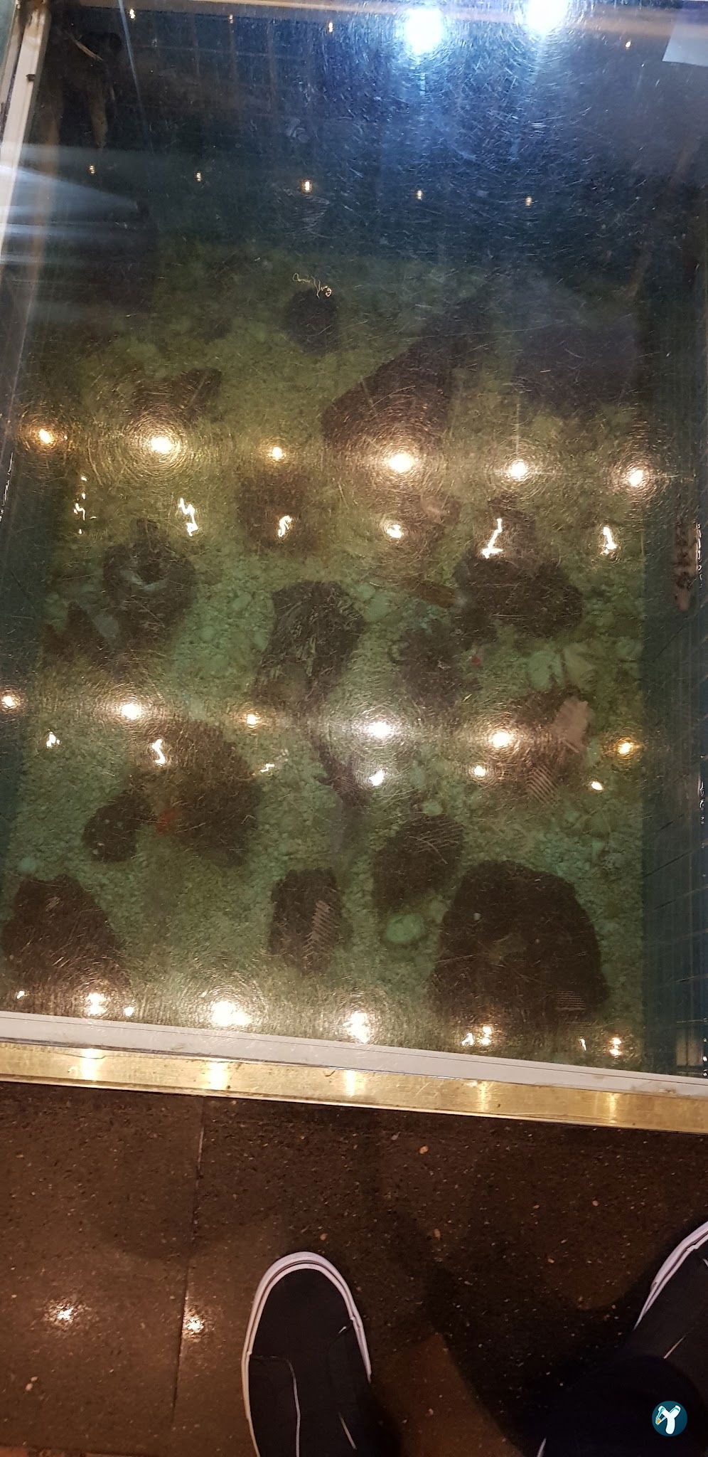 Boğaziçi Balık Restoran