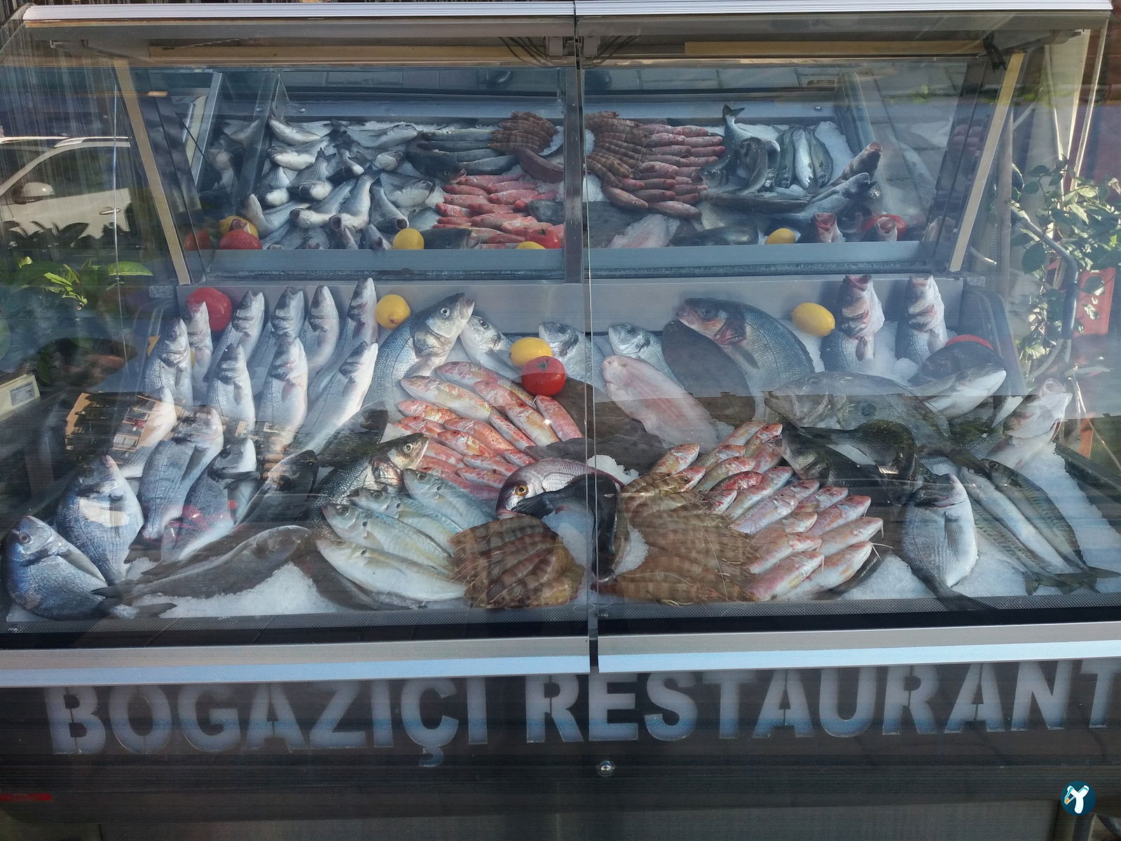 Boğaziçi Balık Restoran