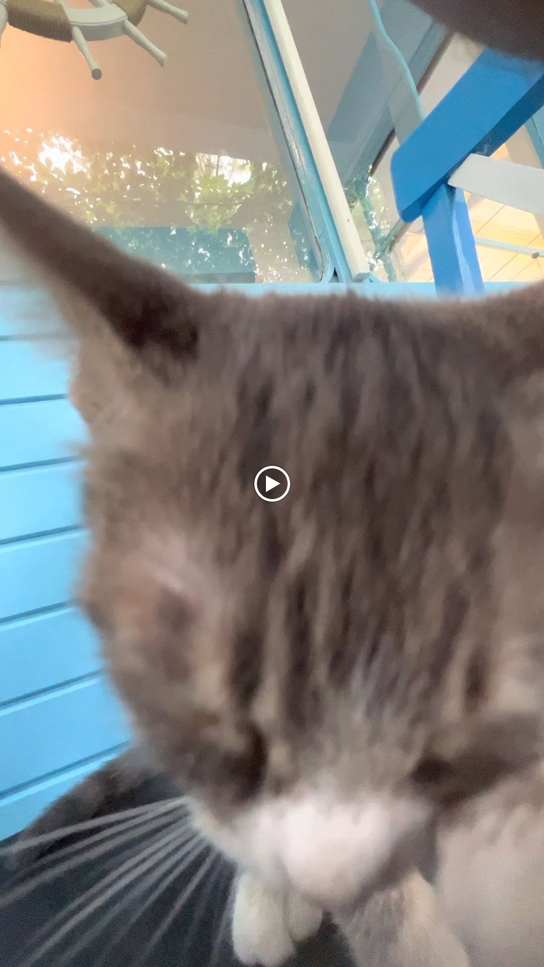 Altıntabak Lokantası