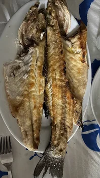 Şen Kardeşler Restoran resimleri