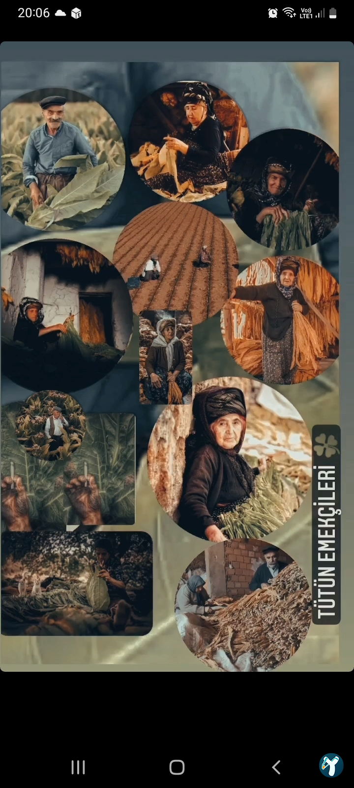 Serhat Çiğköfte