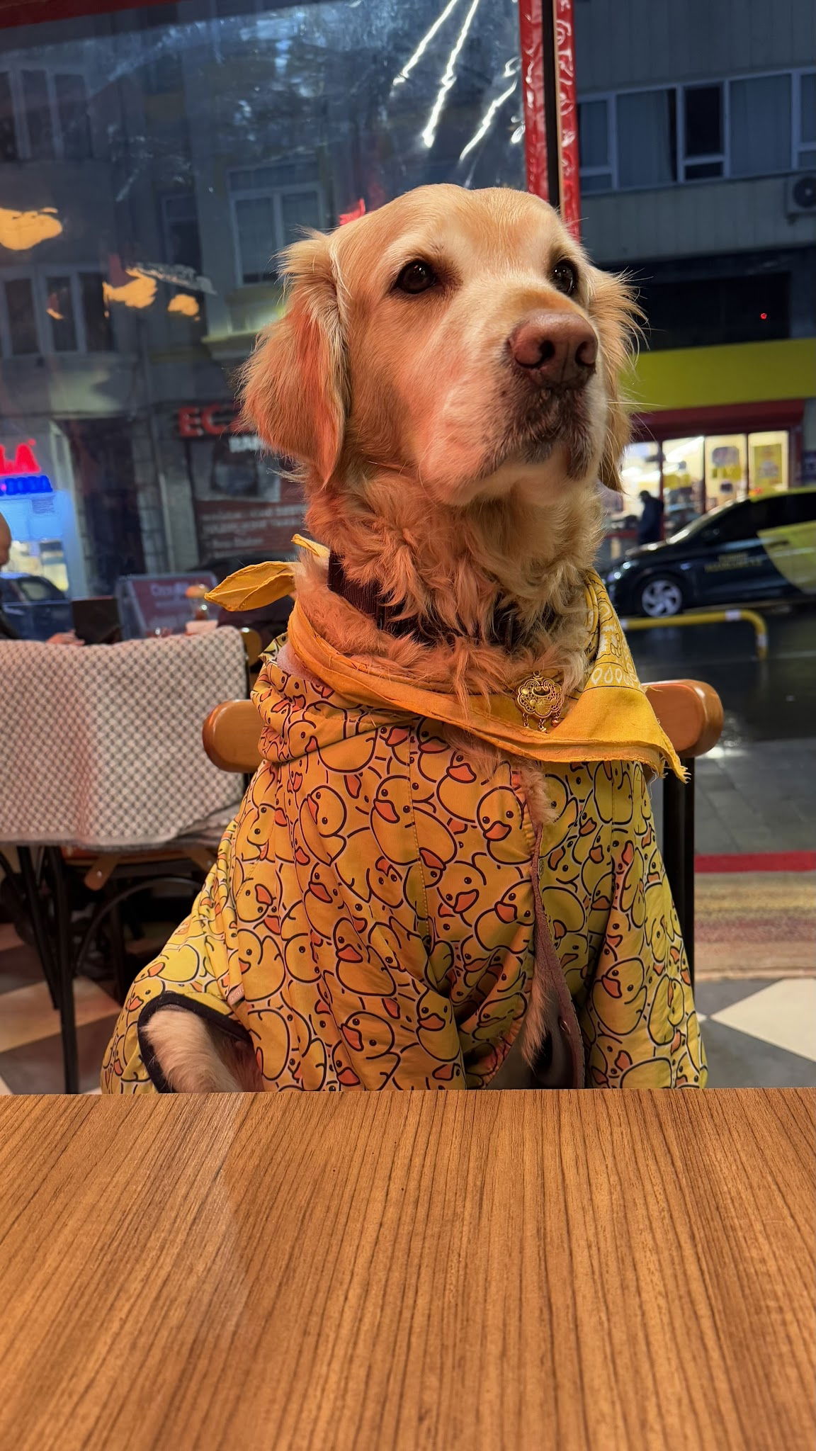 Ozzy Bites - Kurtuluş Pizza & Burger