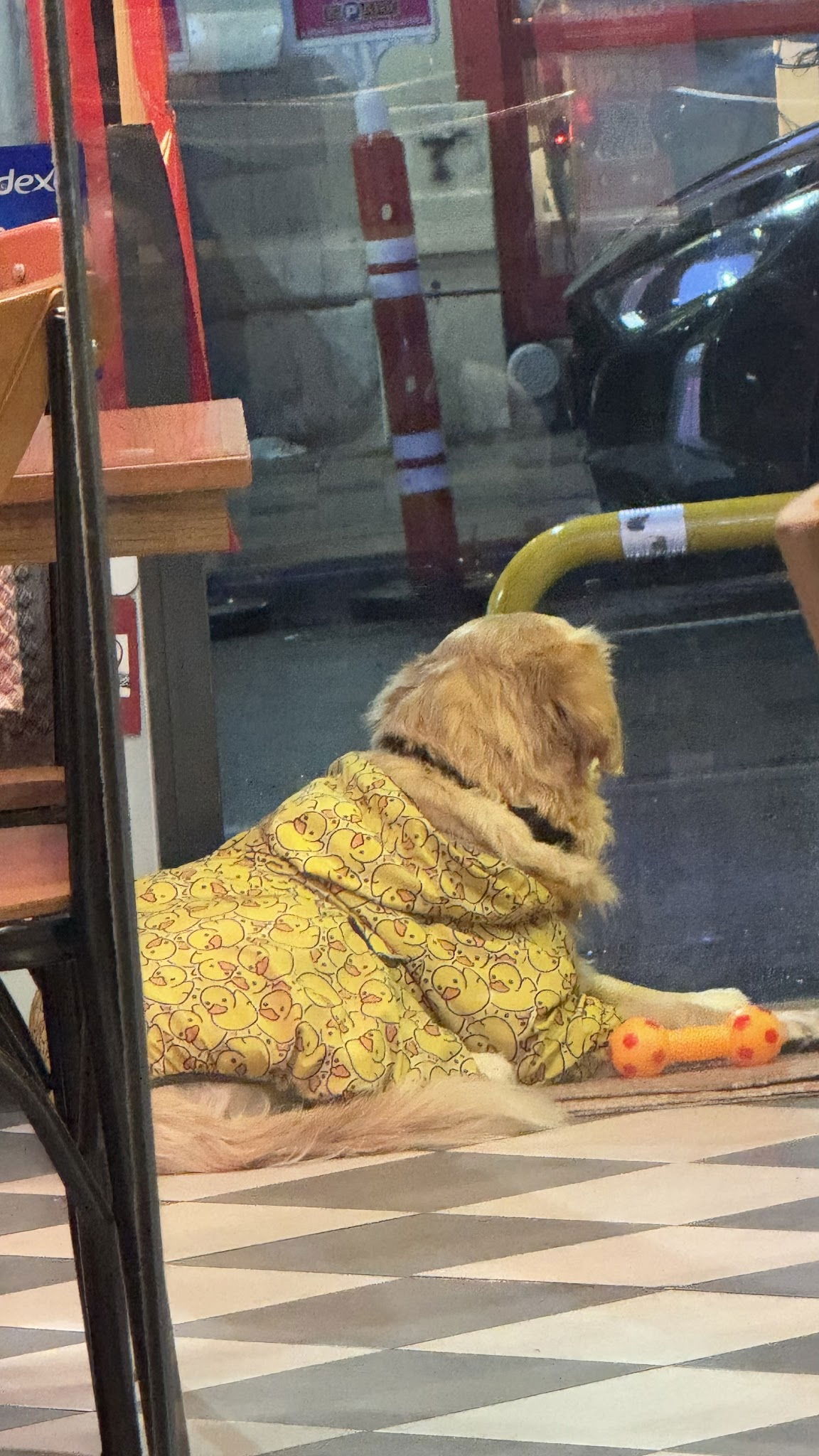 Ozzy Bites - Kurtuluş Pizza & Burger