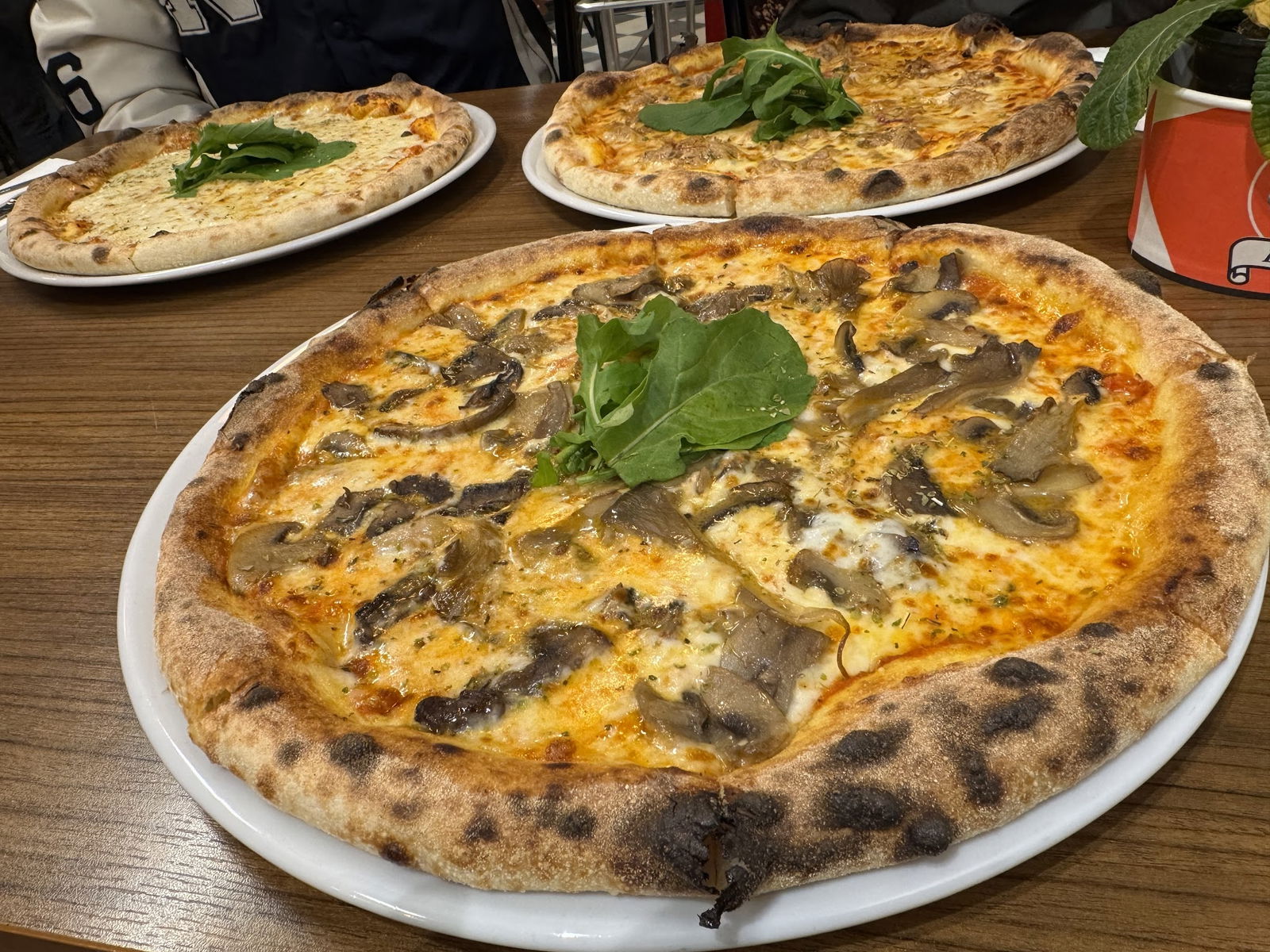 Ozzy Bites - Kurtuluş Pizza & Burger