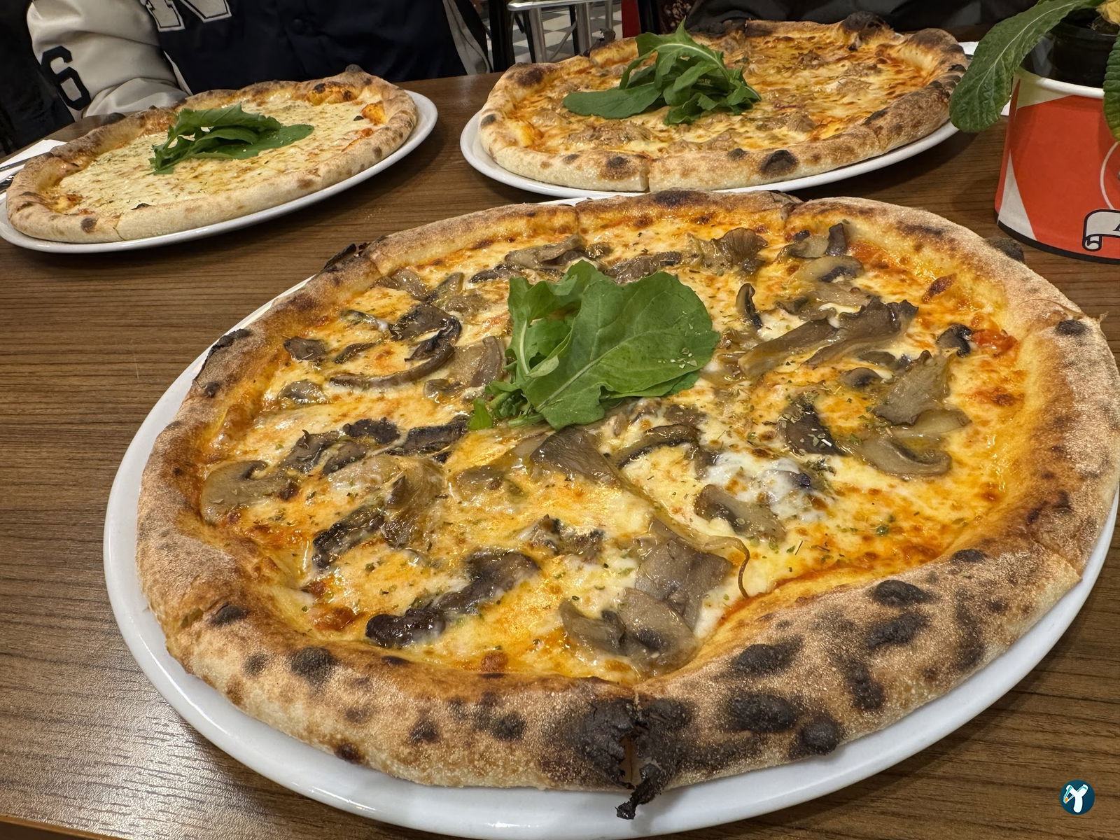 Ozzy Bites - Kurtuluş Pizza & Burger