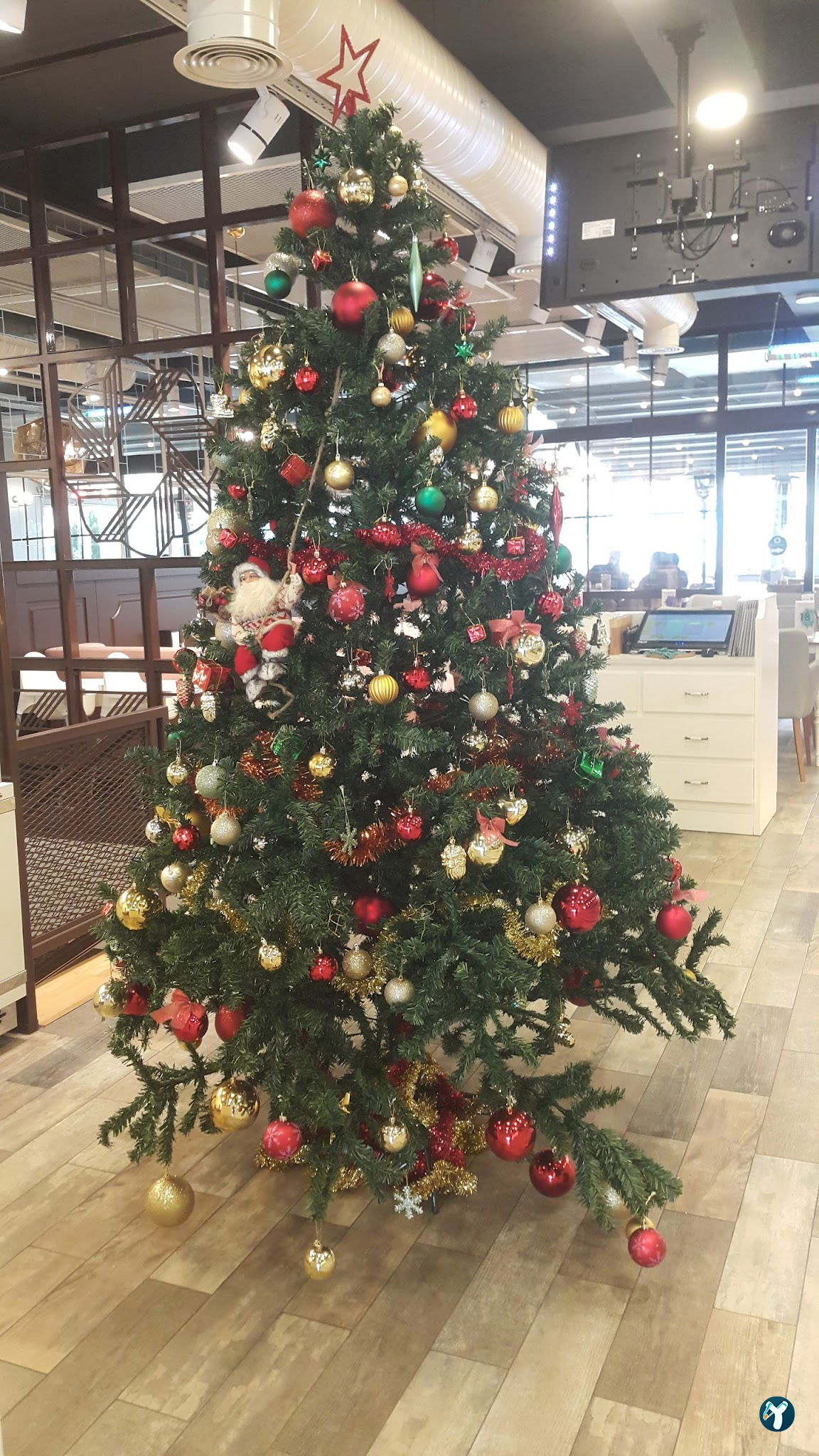 Bonissimo