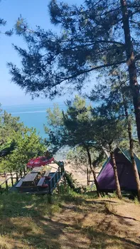 Serintepe Piknik Alanı&Restorant Ve Kamp Alanı resimleri