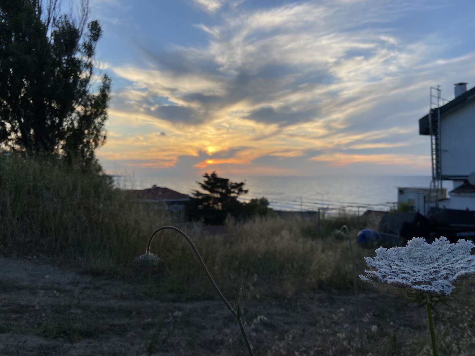 Serintepe Piknik Alanı&Restorant Ve Kamp Alanı