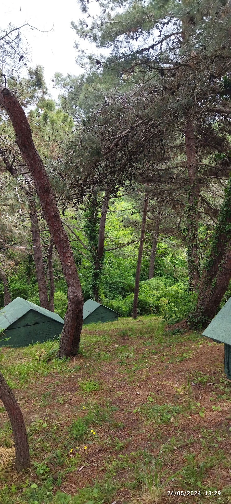 Serintepe Piknik Alanı&Restorant Ve Kamp Alanı