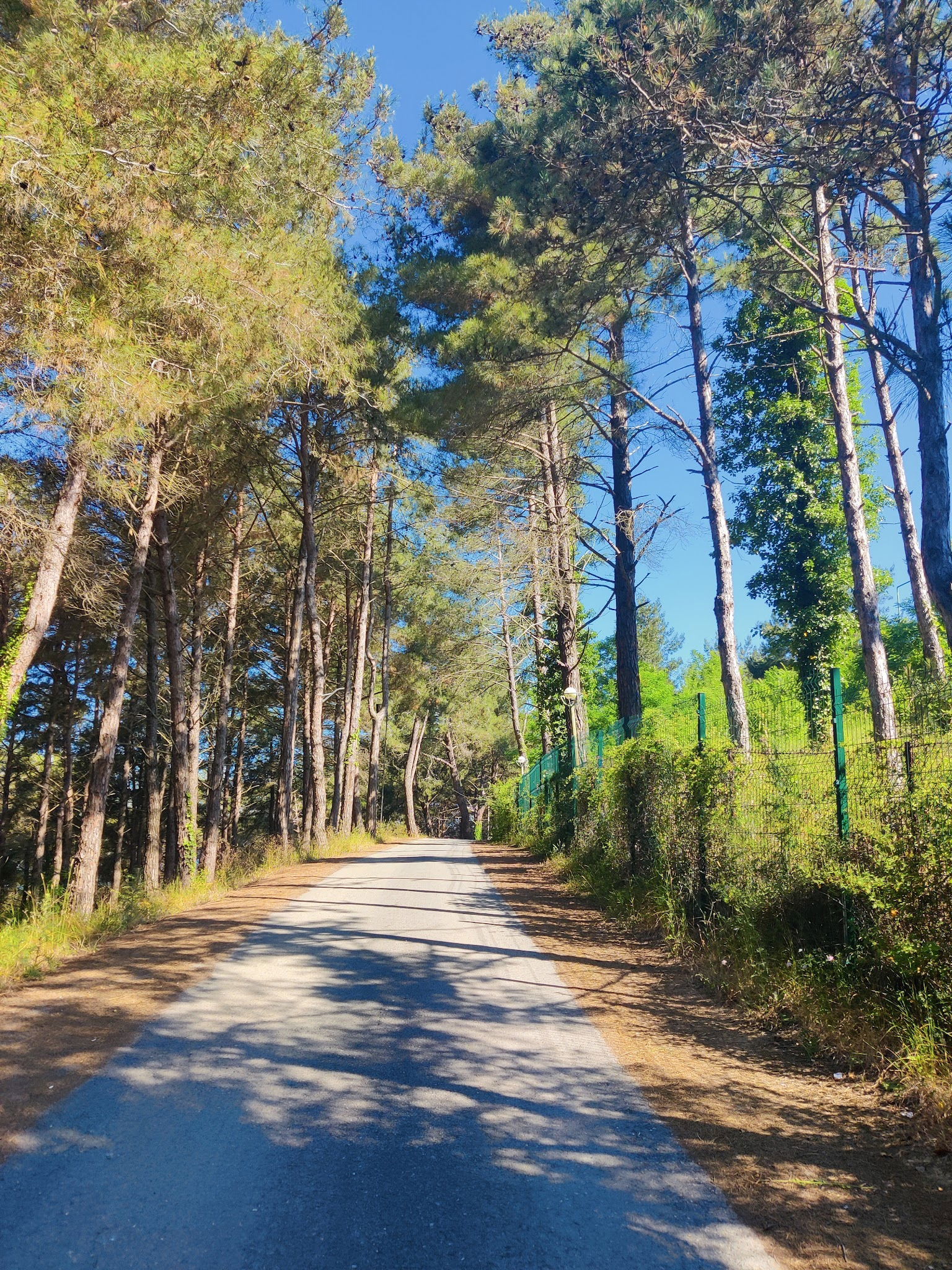 Serintepe Piknik Alanı&Restorant Ve Kamp Alanı