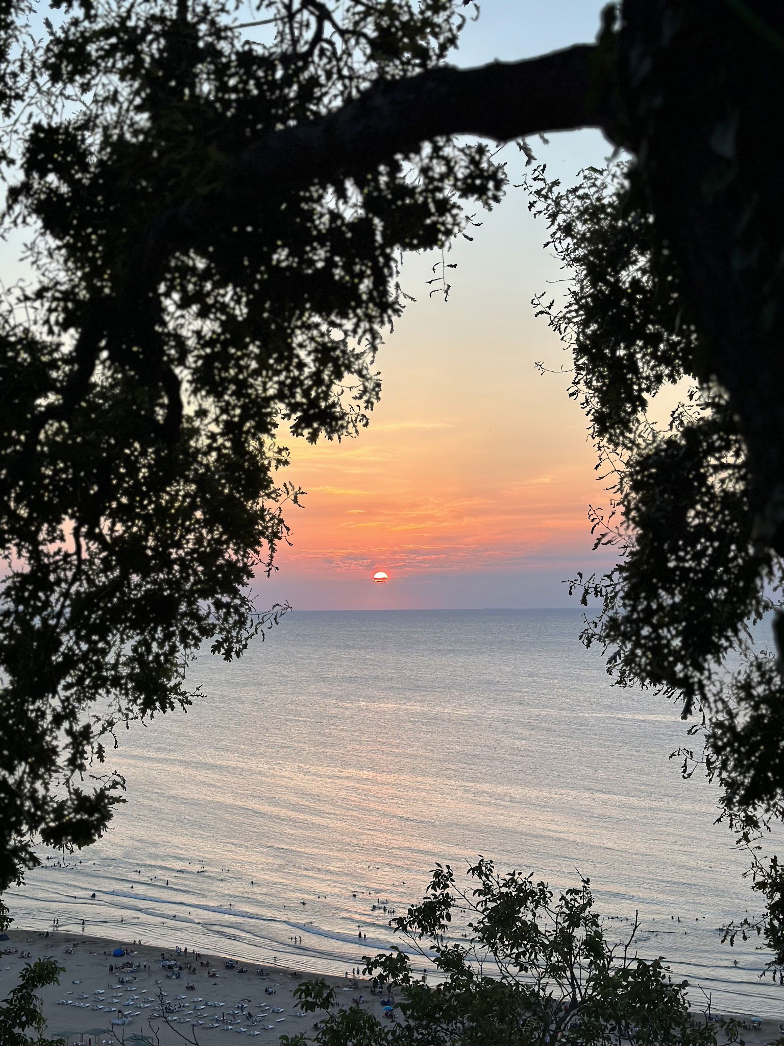 Serintepe Piknik Alanı&Restorant Ve Kamp Alanı