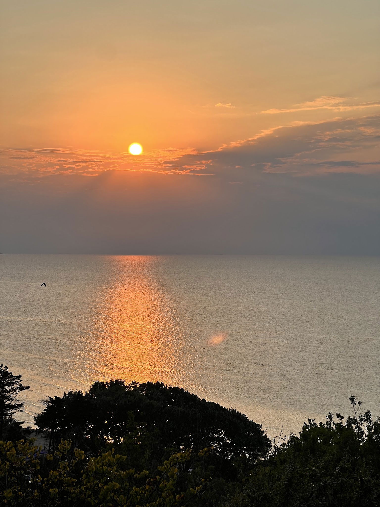 Serintepe Piknik Alanı&Restorant Ve Kamp Alanı