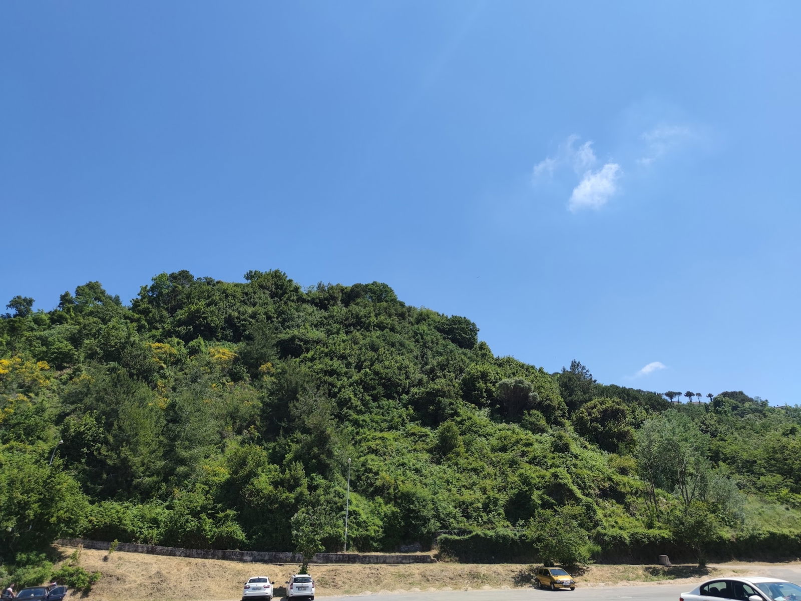 Serintepe Piknik Alanı&Restorant Ve Kamp Alanı