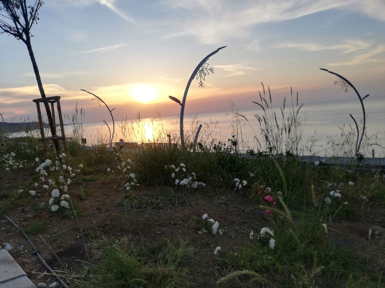 Serintepe Piknik Alanı&Restorant Ve Kamp Alanı