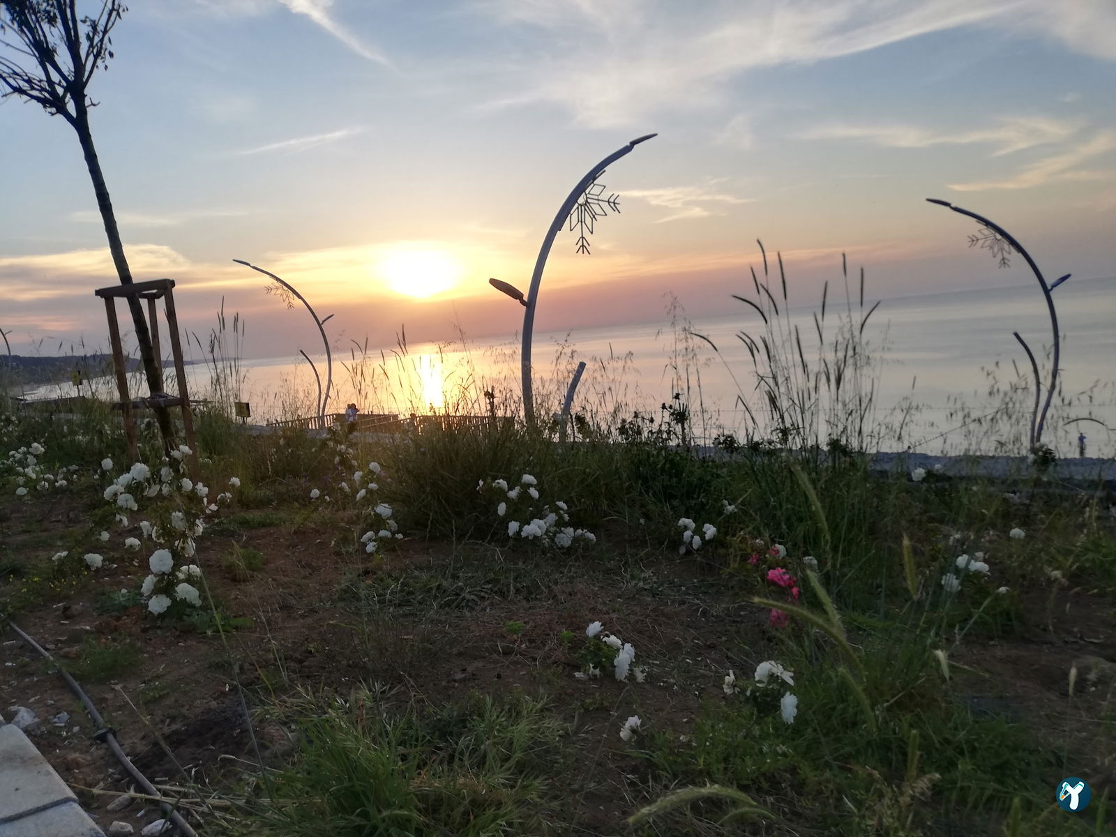 Serintepe Piknik Alanı&Restorant Ve Kamp Alanı