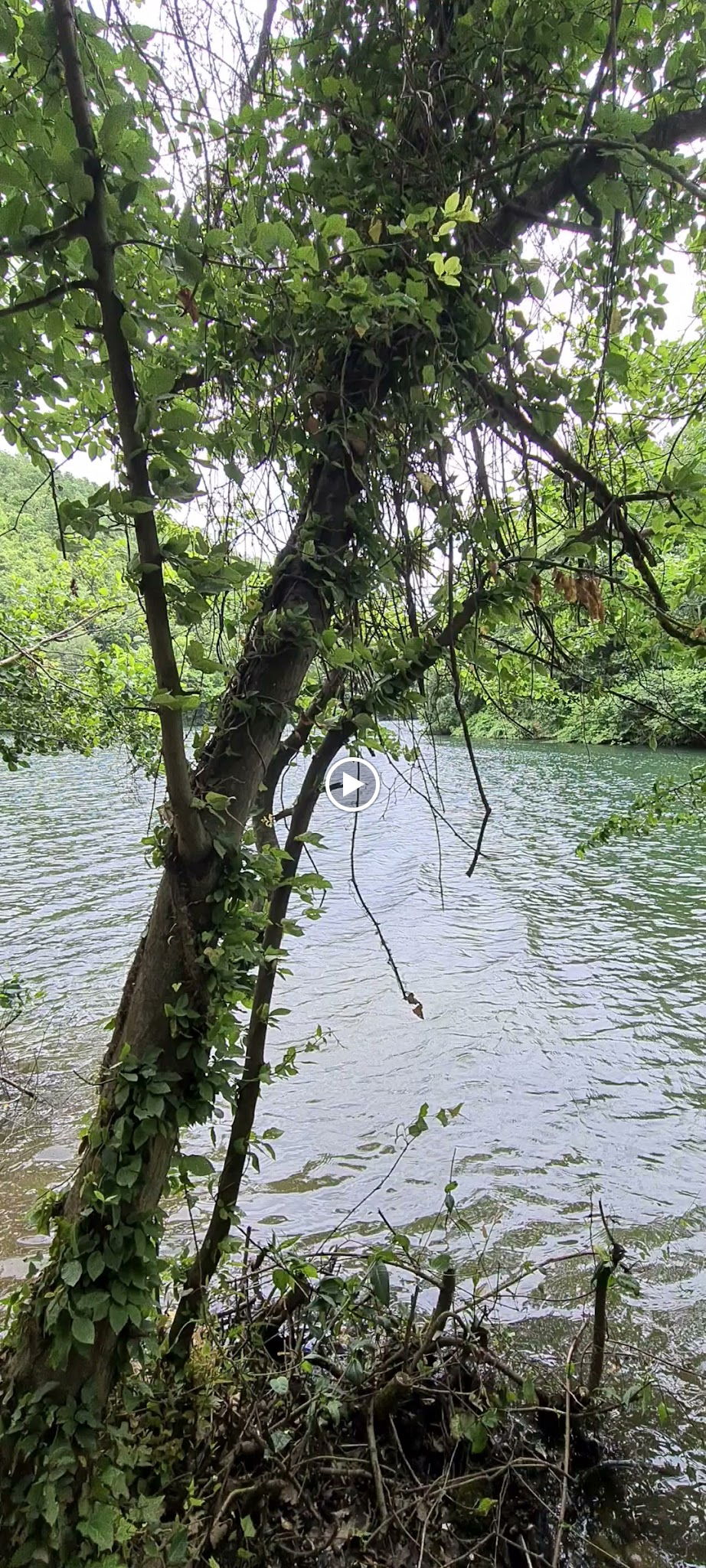 Serintepe Piknik Alanı&Restorant Ve Kamp Alanı