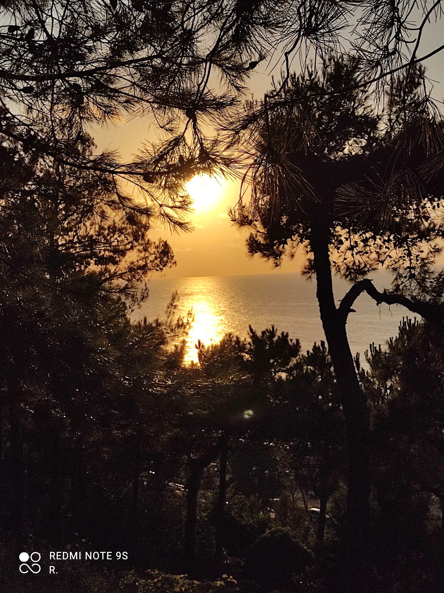 Serintepe Piknik Alanı&Restorant Ve Kamp Alanı