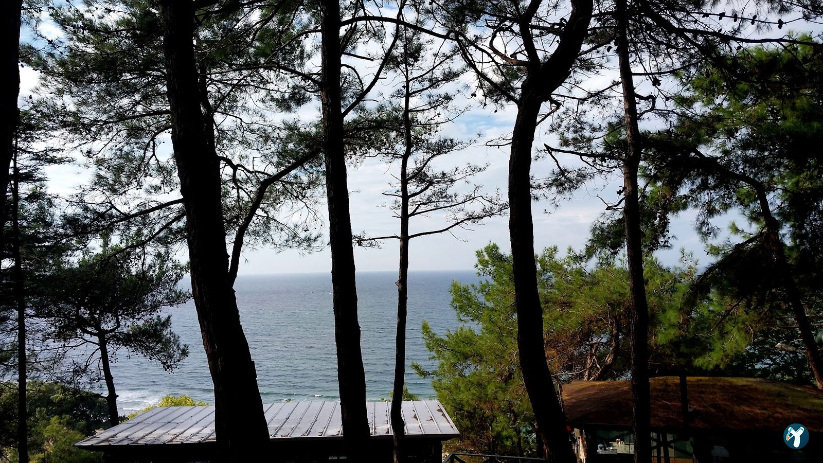 Serintepe Piknik Alanı&Restorant Ve Kamp Alanı