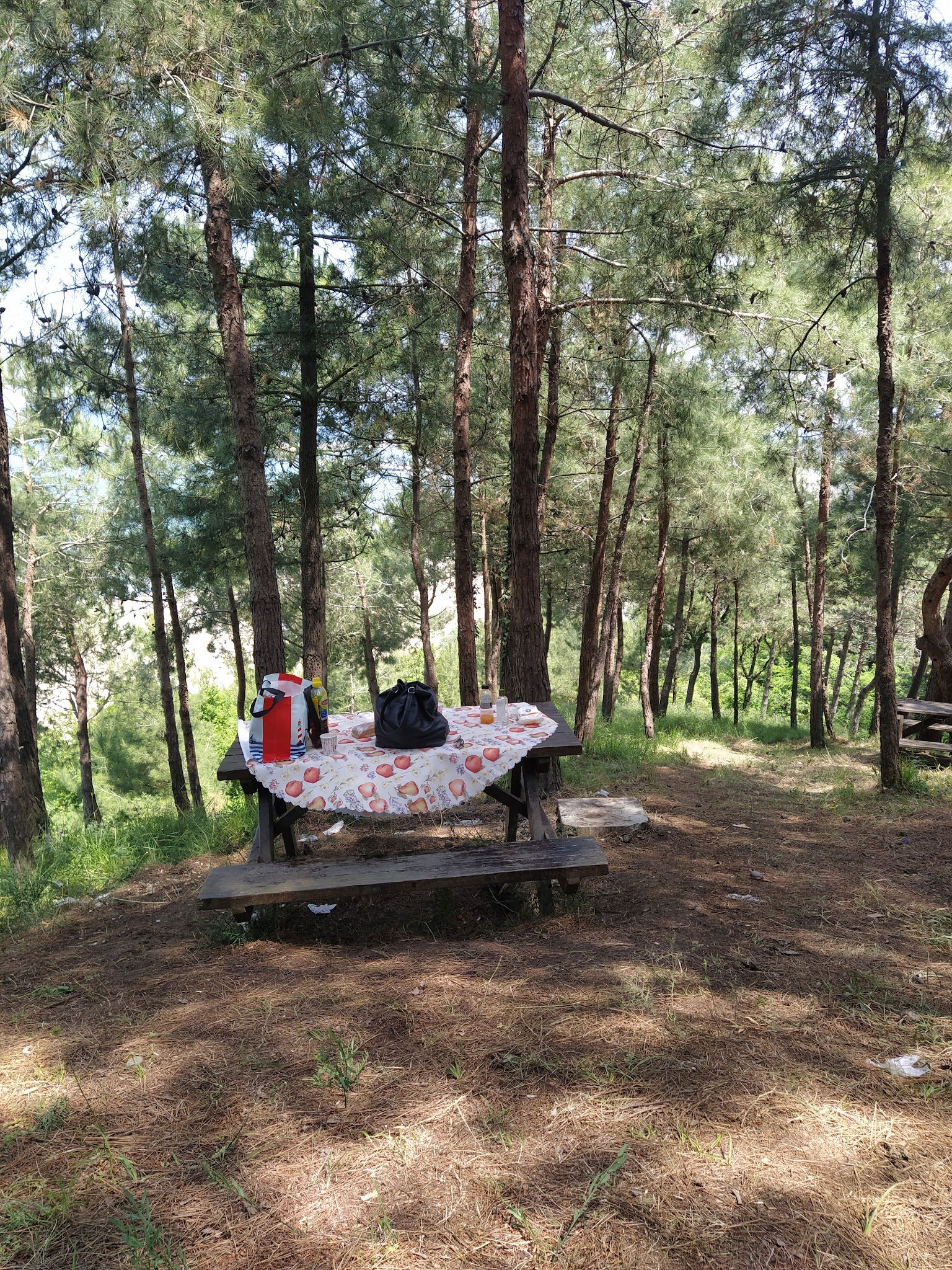 Serintepe Piknik Alanı&Restorant Ve Kamp Alanı