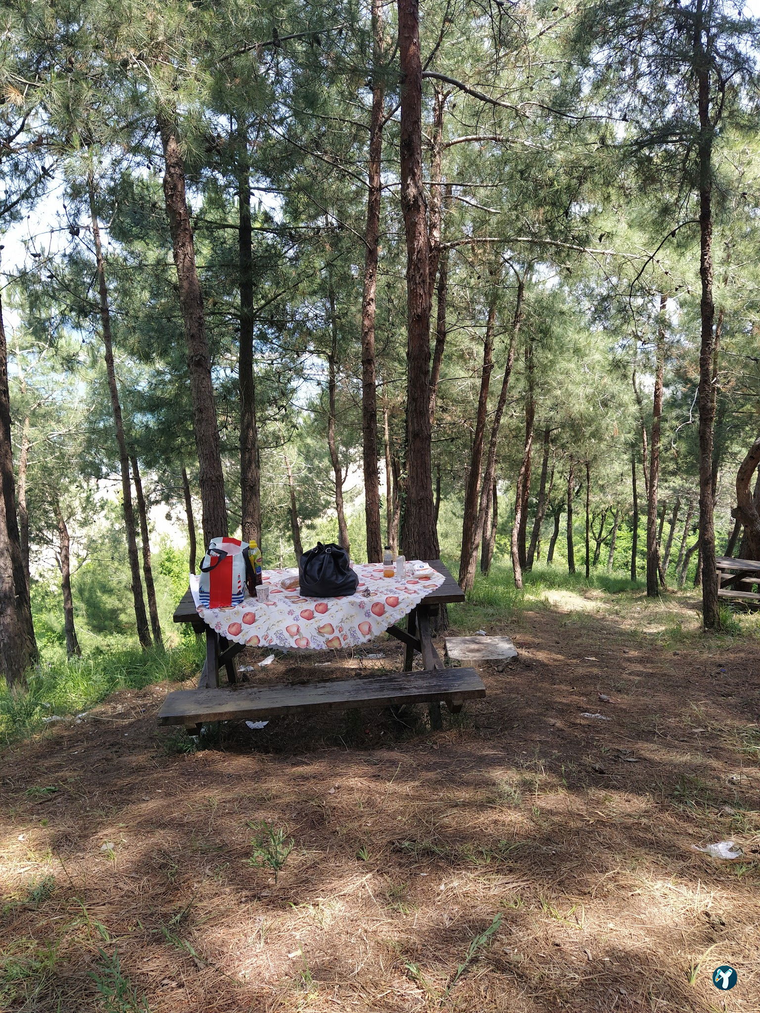 Serintepe Piknik Alanı&Restorant Ve Kamp Alanı