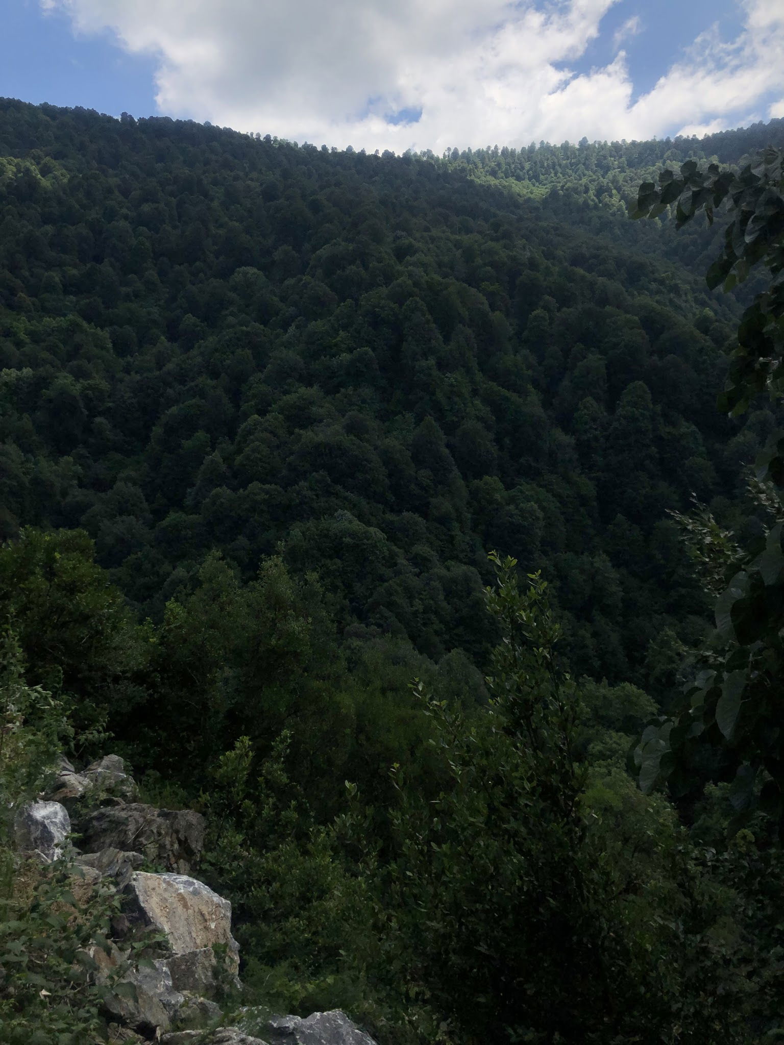 Serintepe Piknik Alanı&Restorant Ve Kamp Alanı