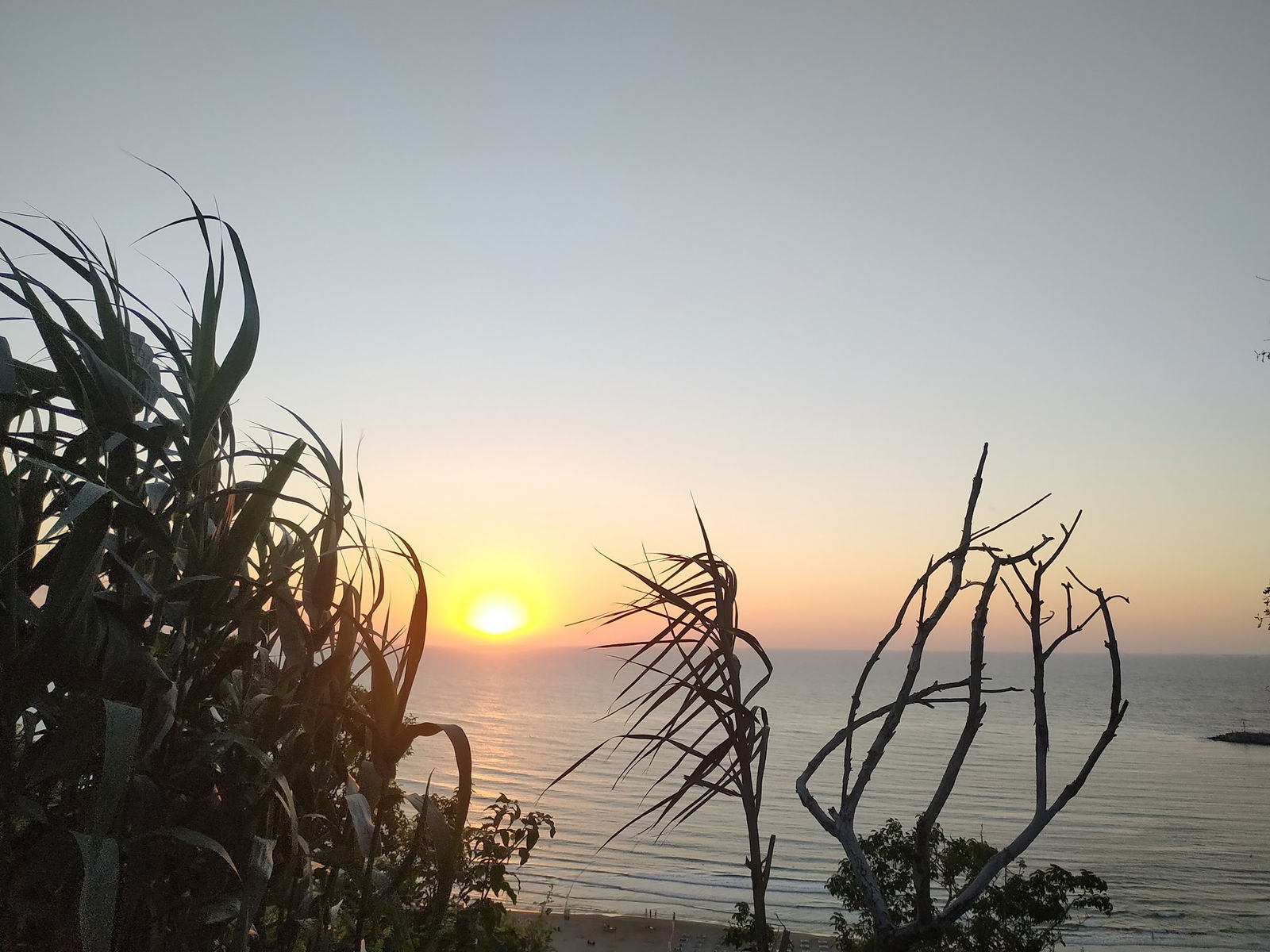 Serintepe Piknik Alanı&Restorant Ve Kamp Alanı