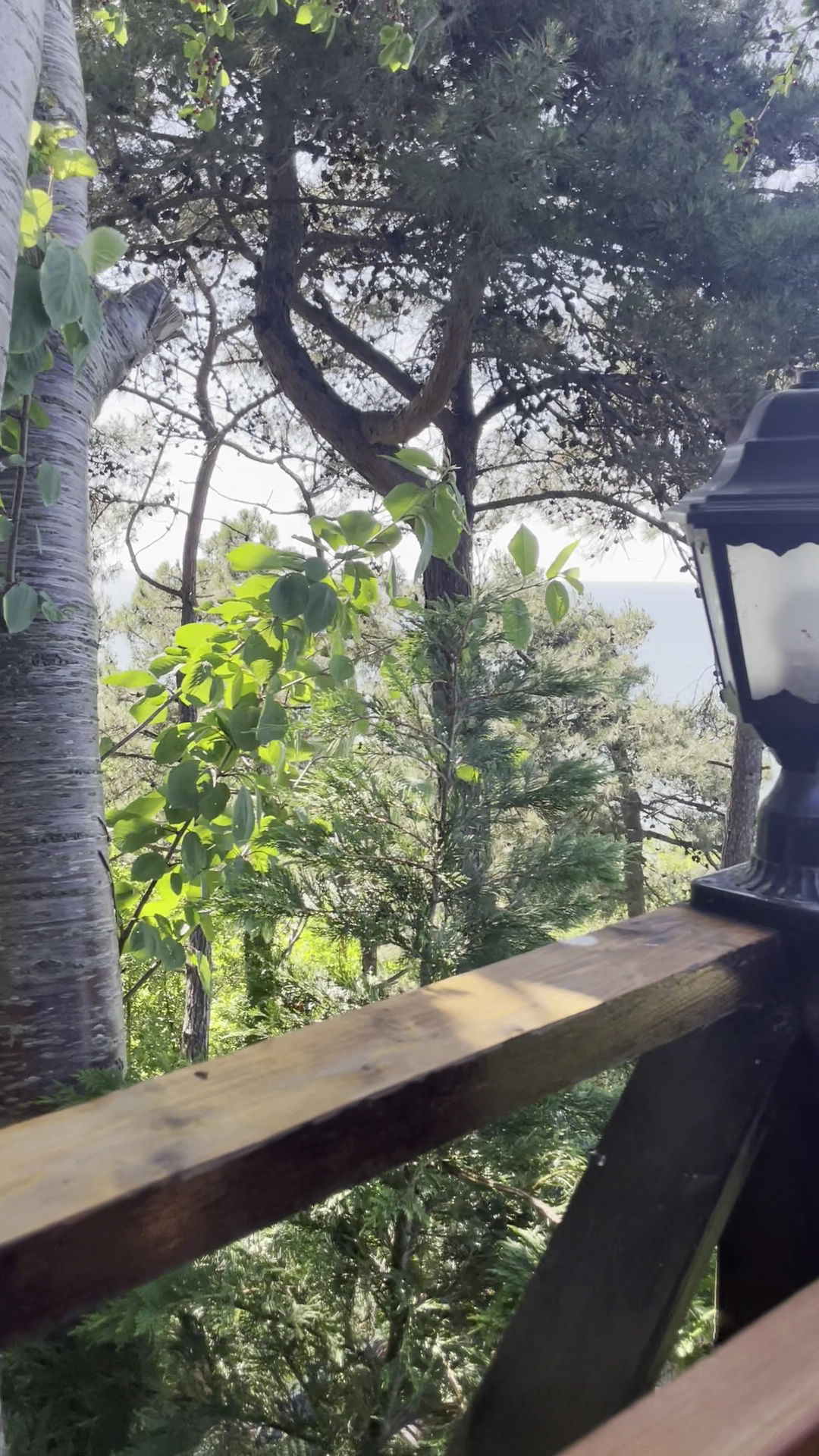 Serintepe Piknik Alanı&Restorant Ve Kamp Alanı