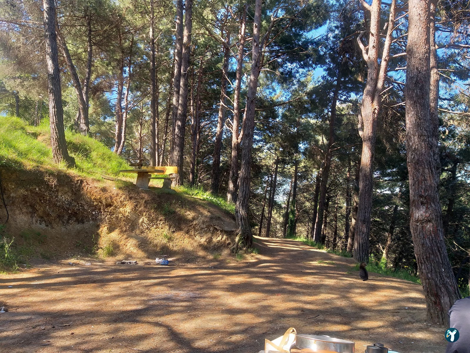 Serintepe Piknik Alanı&Restorant Ve Kamp Alanı