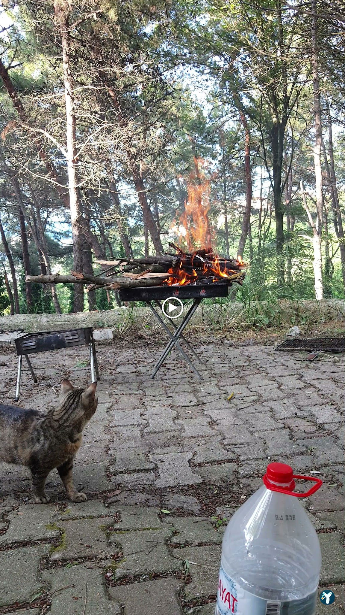 Serintepe Piknik Alanı&Restorant Ve Kamp Alanı