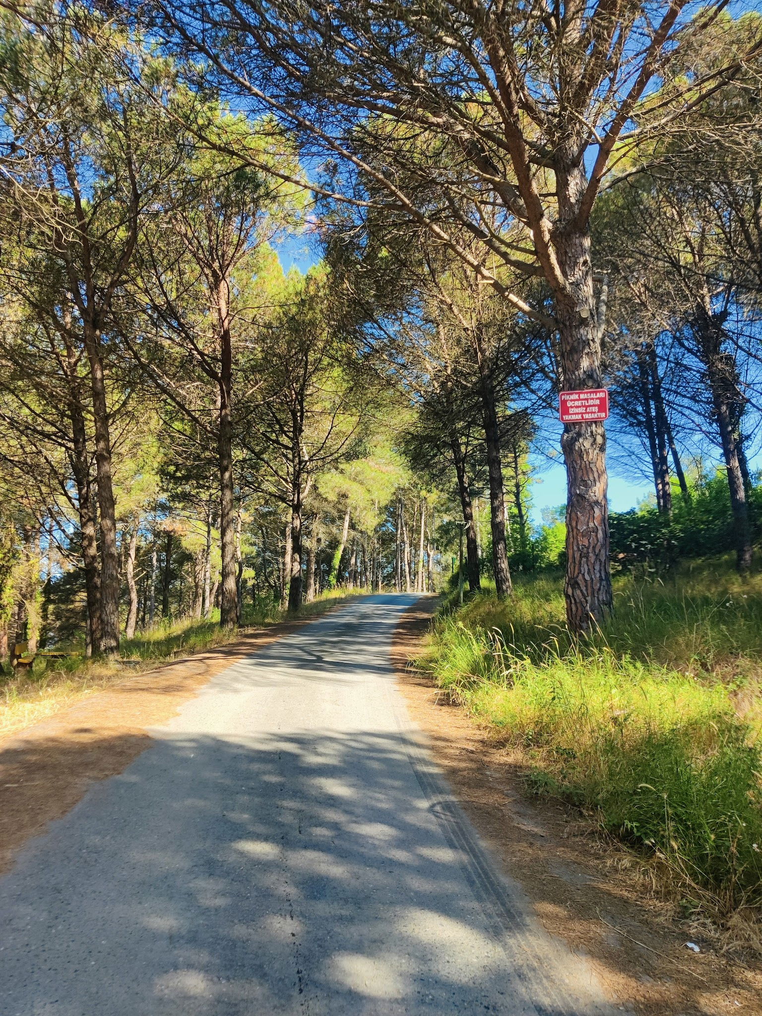 Serintepe Piknik Alanı&Restorant Ve Kamp Alanı