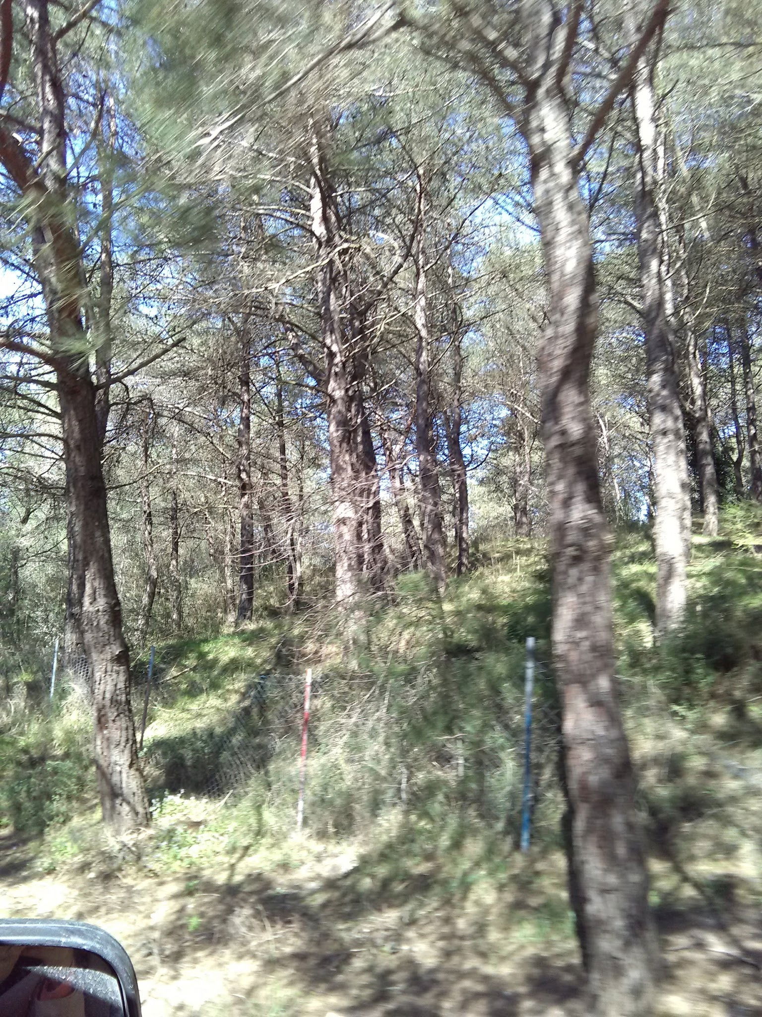 Serintepe Piknik Alanı&Restorant Ve Kamp Alanı