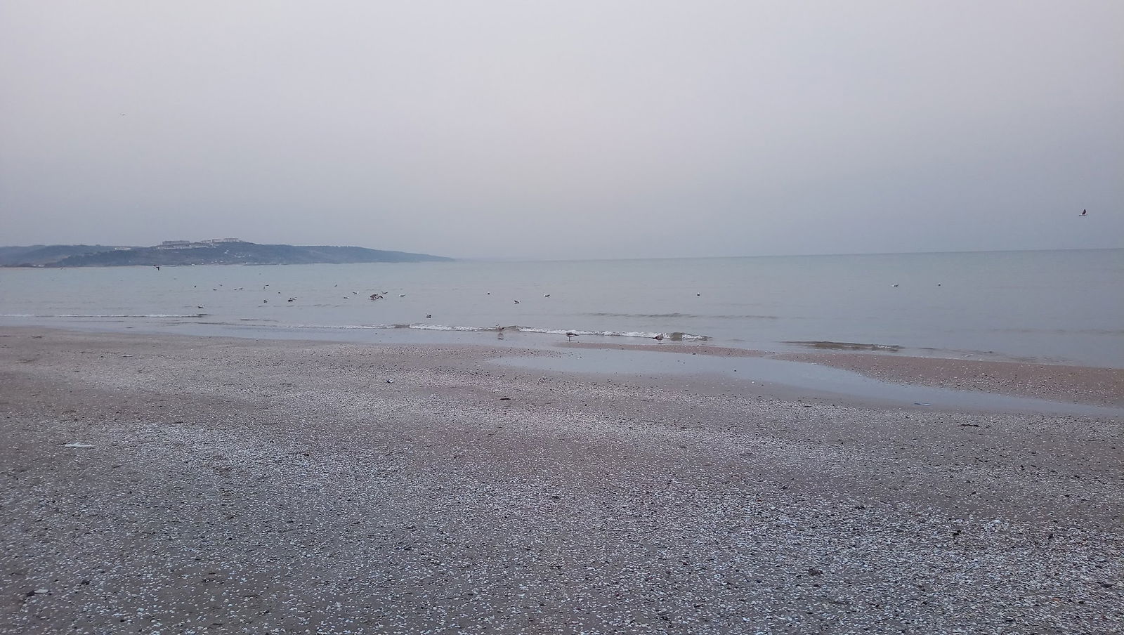 Serintepe Piknik Alanı&Restorant Ve Kamp Alanı