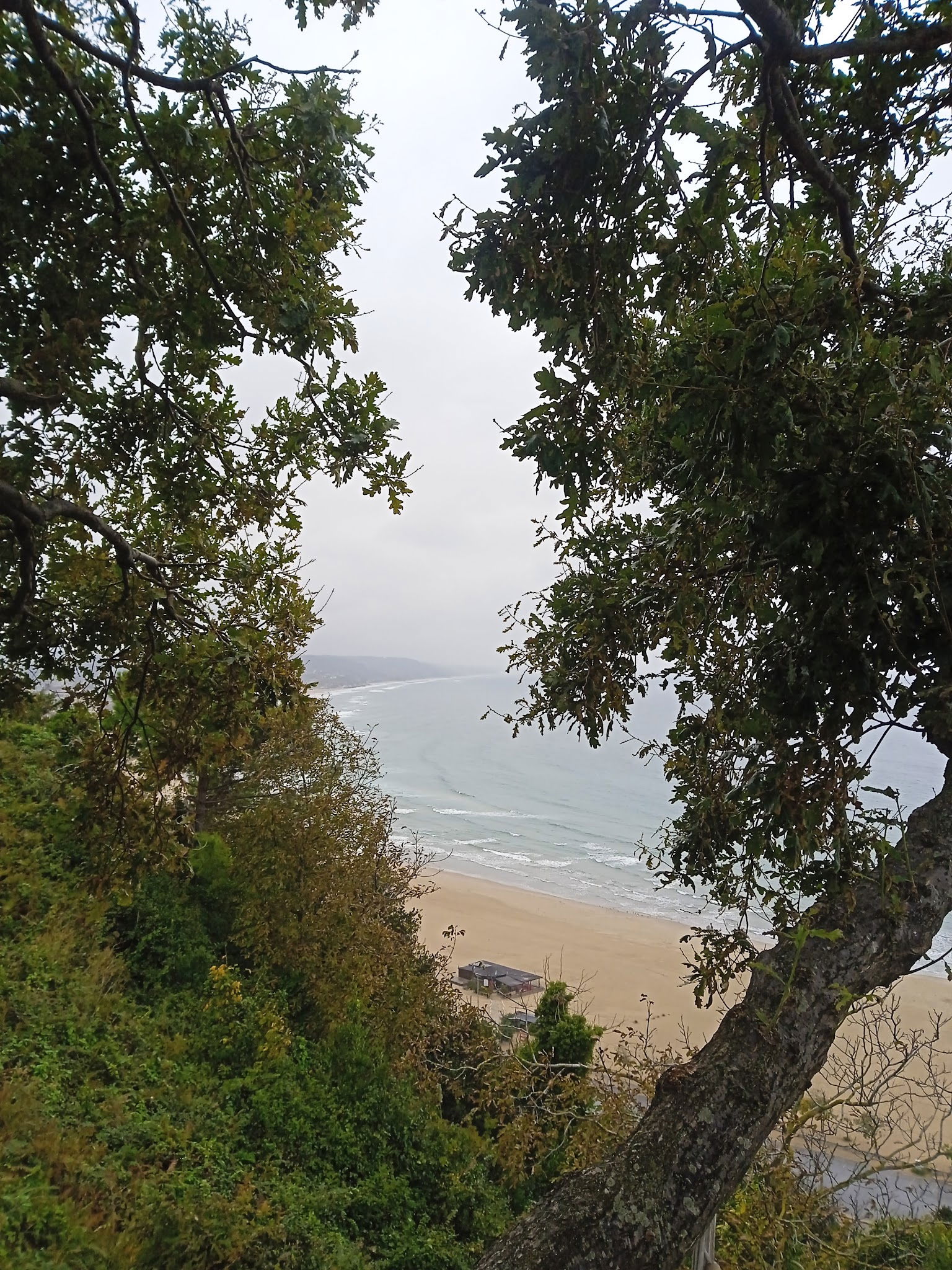 Serintepe Piknik Alanı&Restorant Ve Kamp Alanı