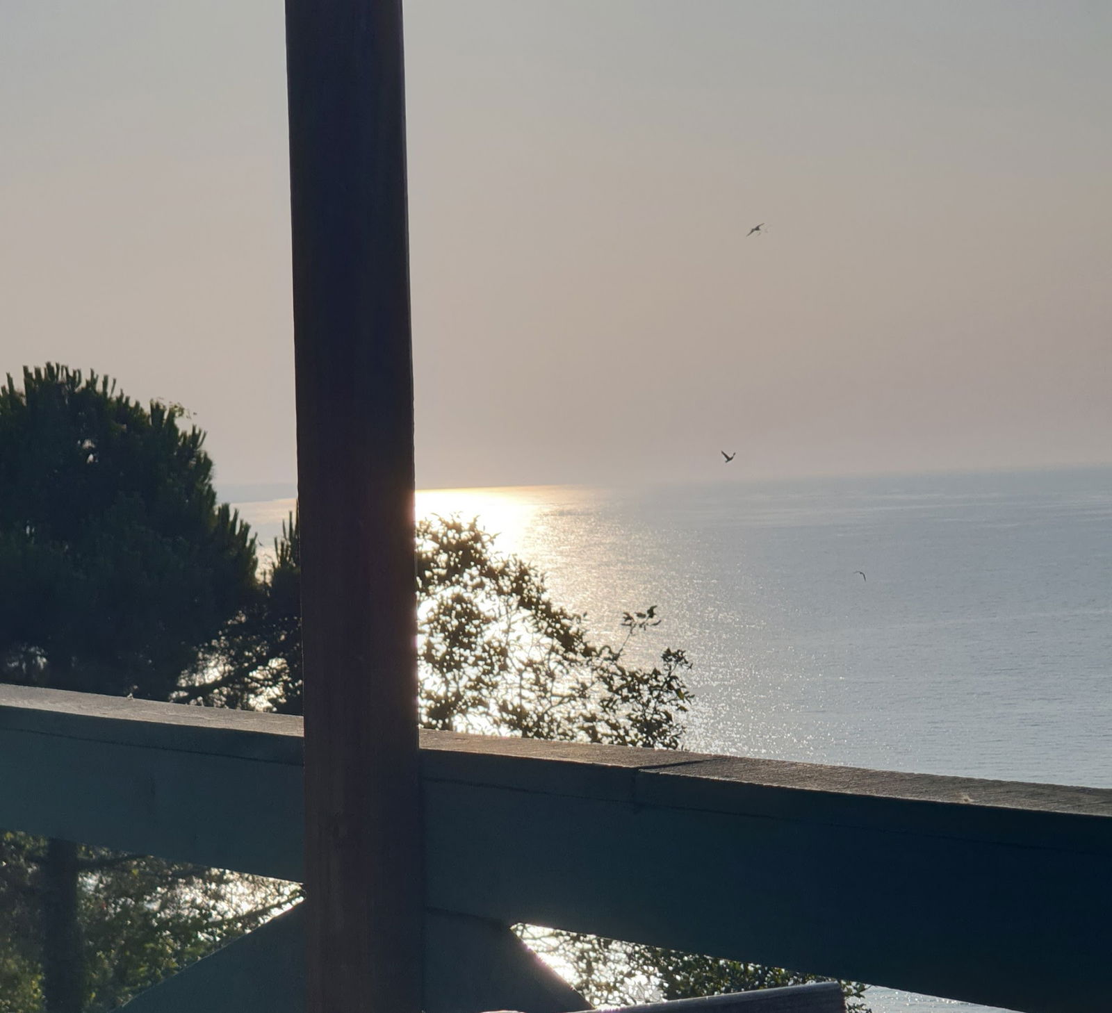 Serintepe Piknik Alanı&Restorant Ve Kamp Alanı