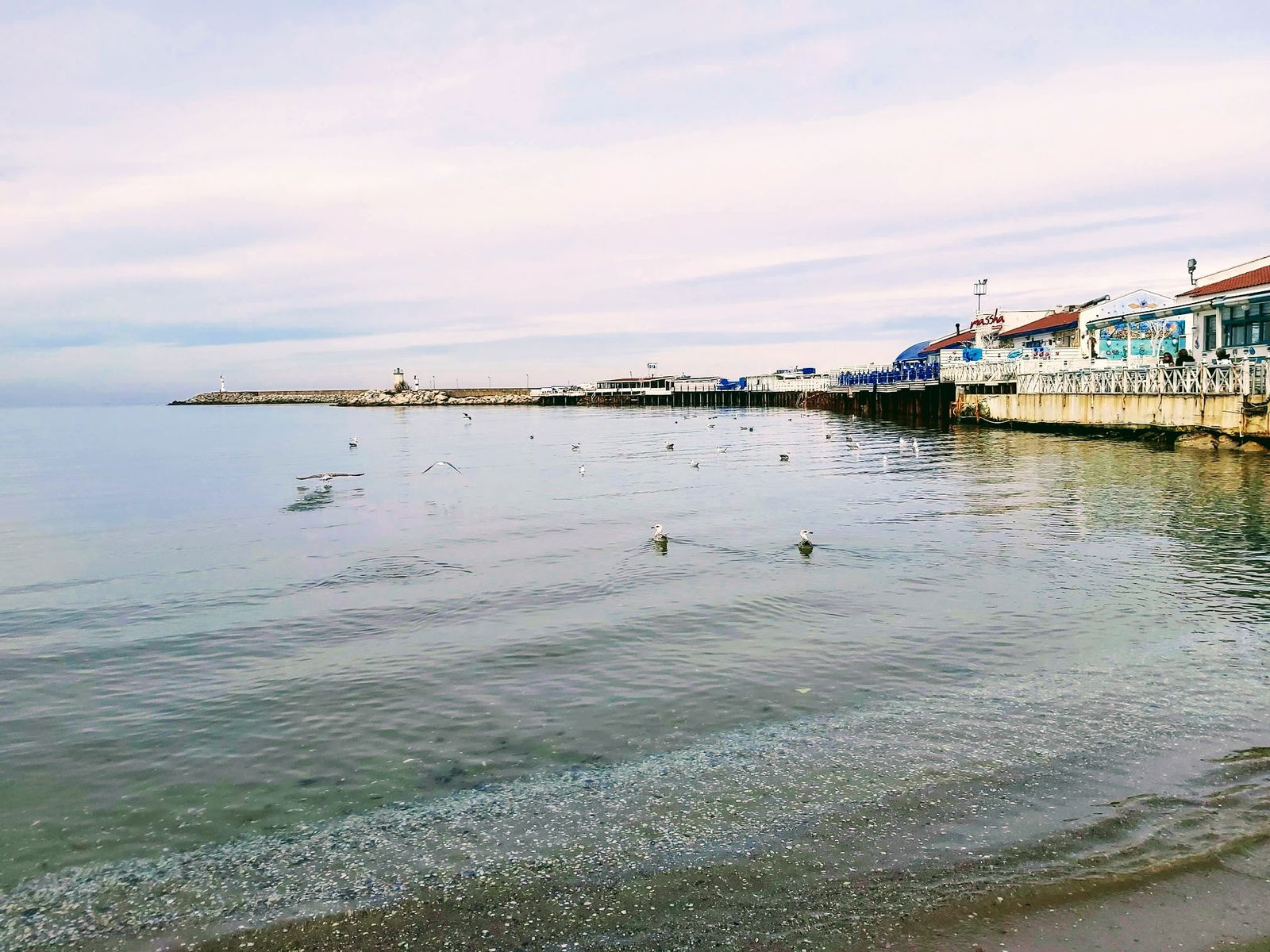 Serintepe Piknik Alanı&Restorant Ve Kamp Alanı