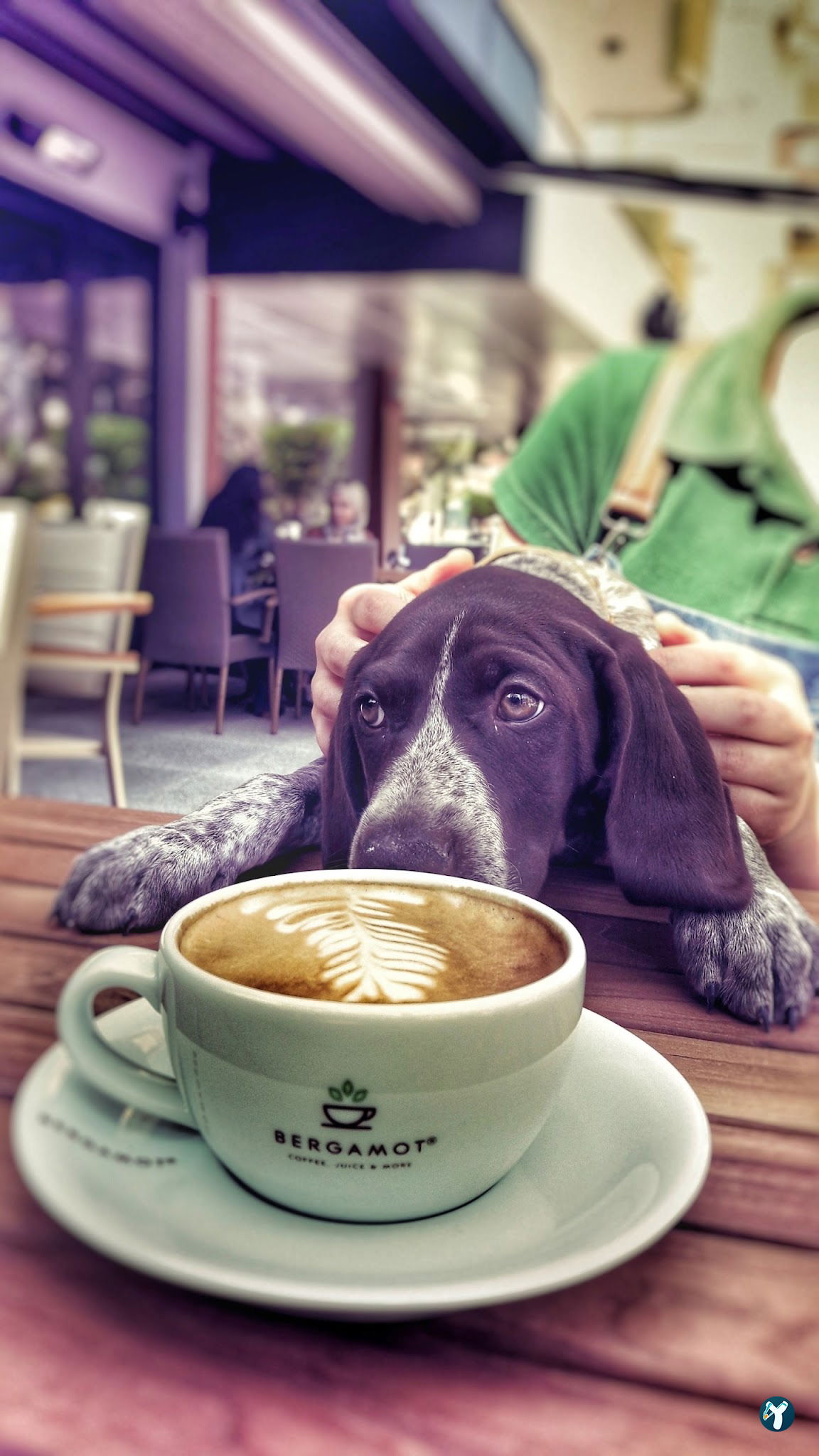 Bergamot Coffee