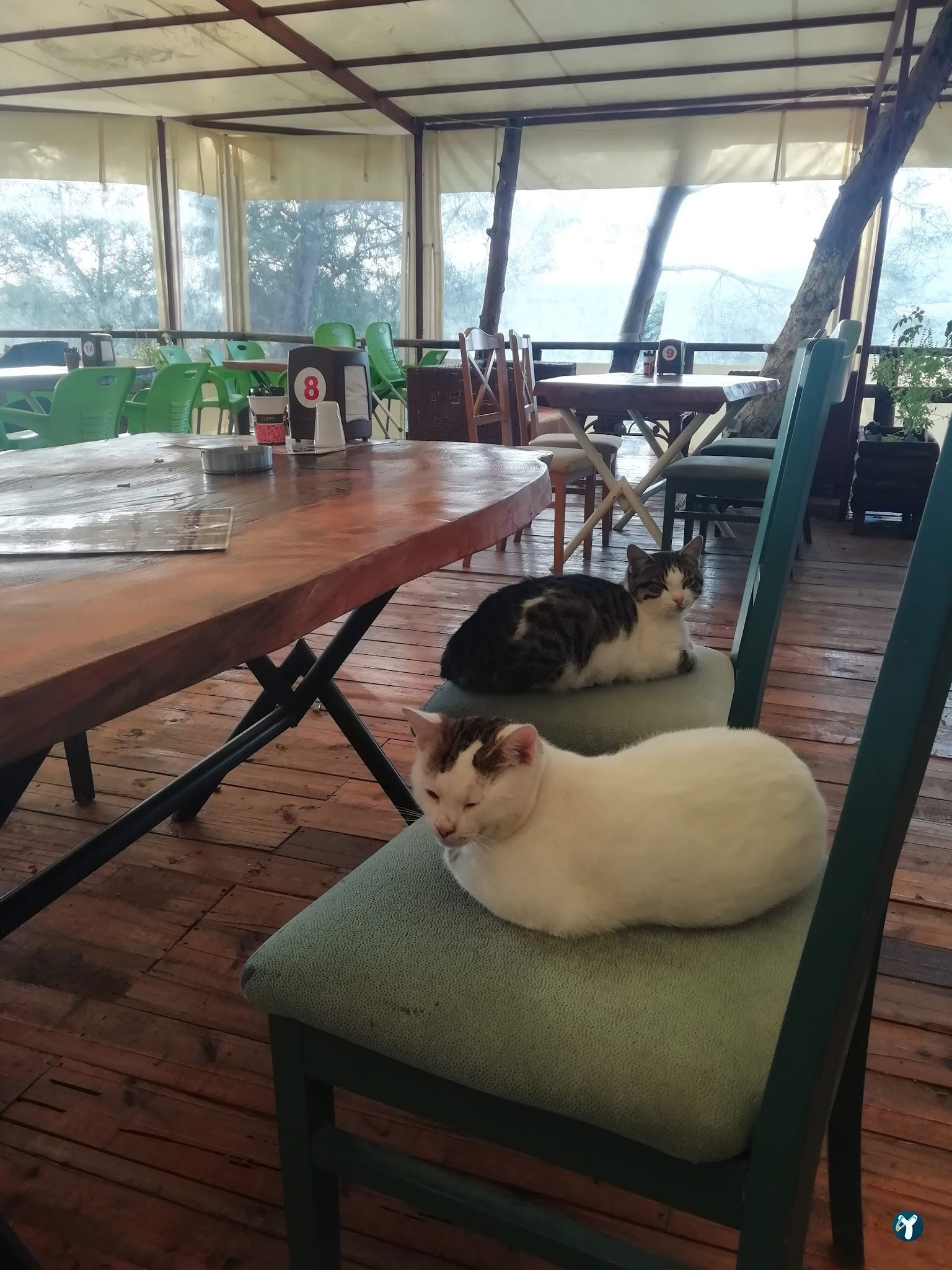Teras Cafe