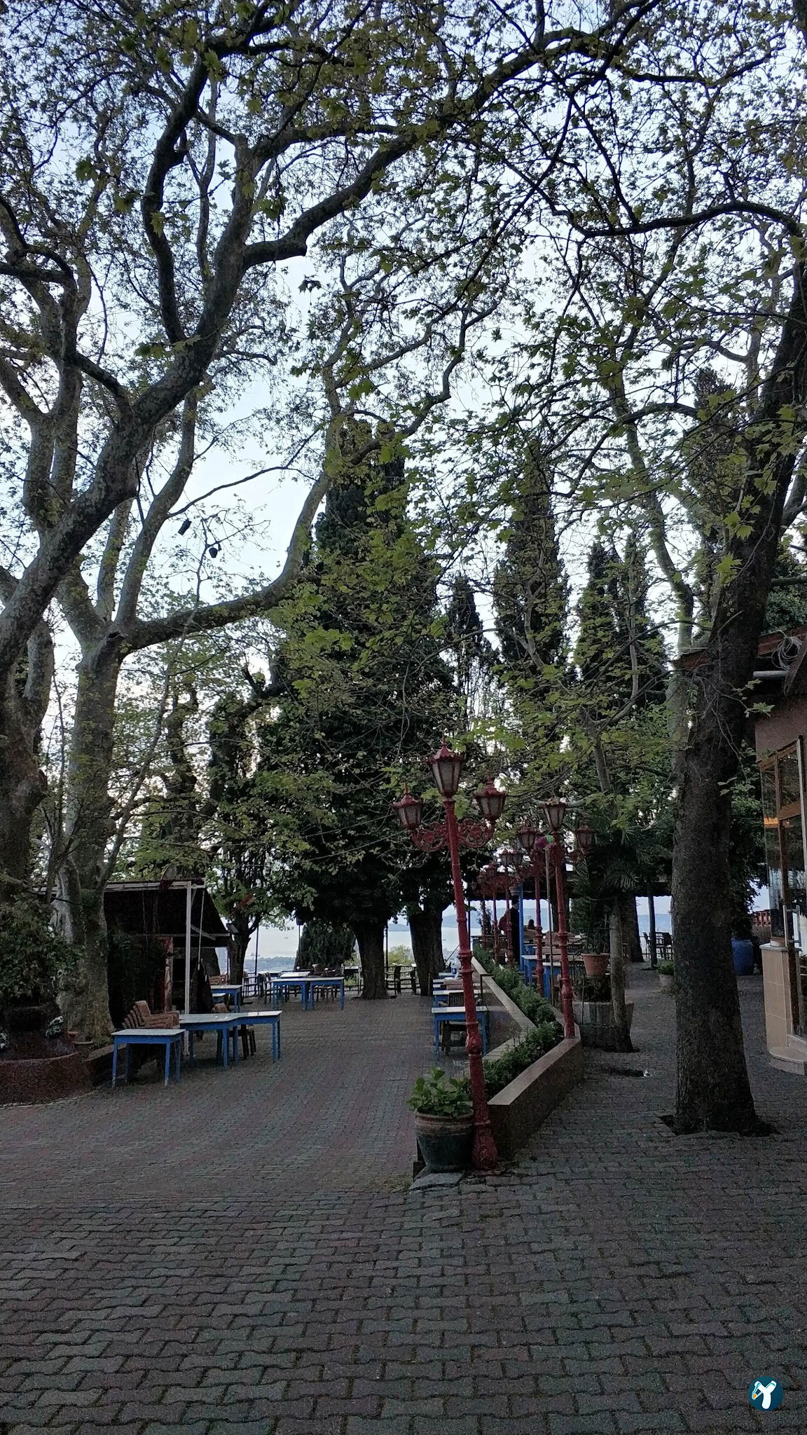 Ayazma Çay Bahçesi