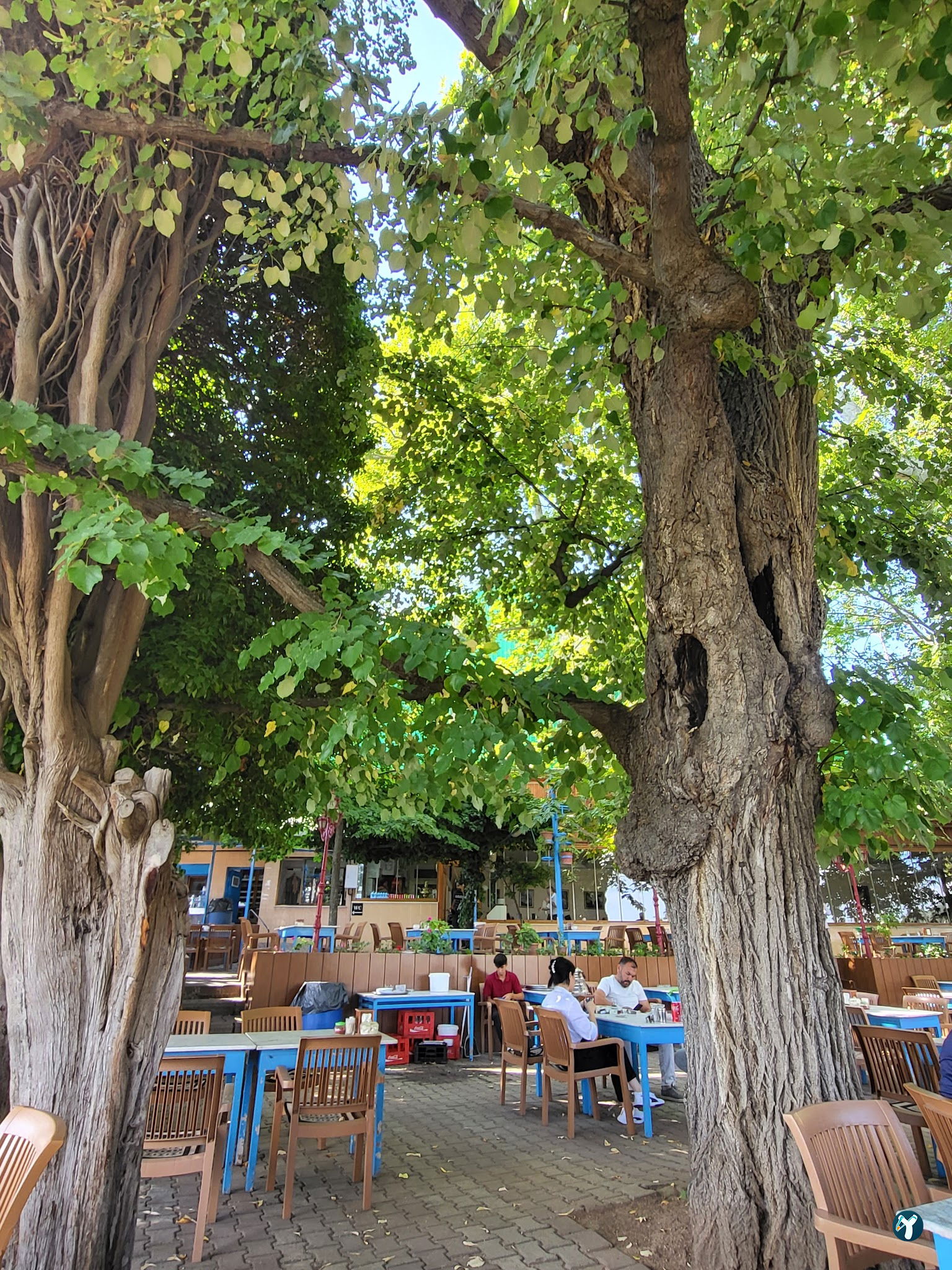 Ayazma Çay Bahçesi