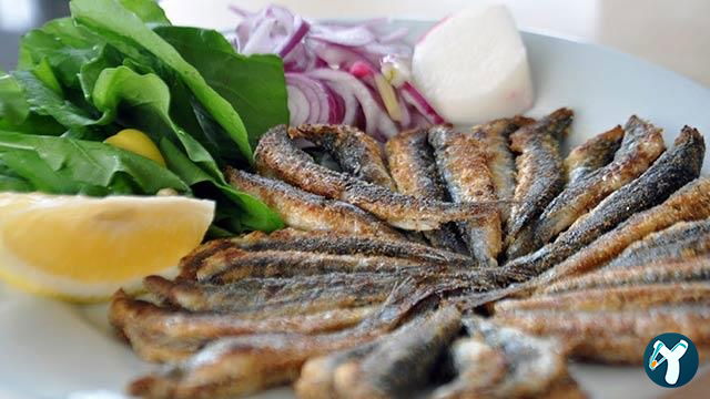 Kalamar Hamsinoz Restaurant