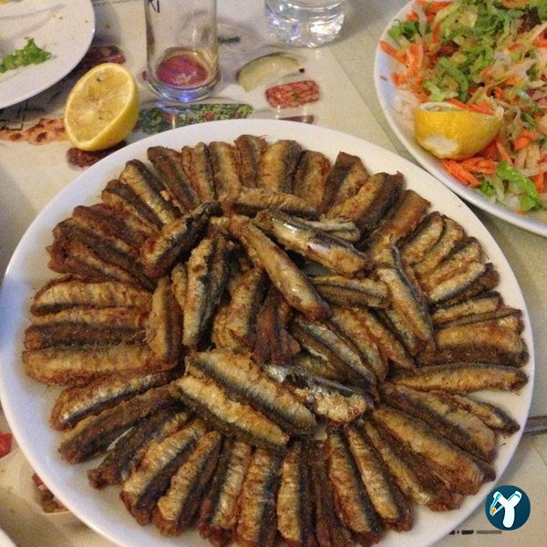 Kalamar Hamsinoz Restaurant