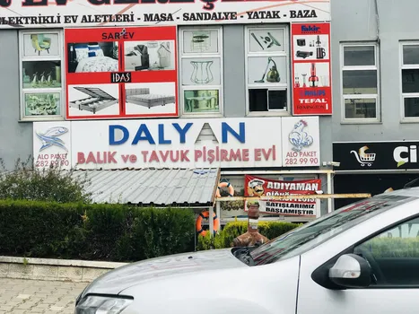 Dalyan Balık Ve Tavuk Pişirme Evi resimleri