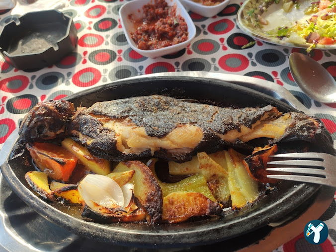 Yılanlı Alabalık Restoran
