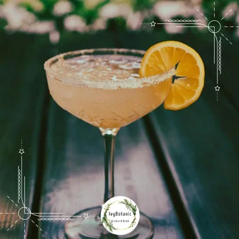 IVY BOTANIC Kitchen & Drink resimleri