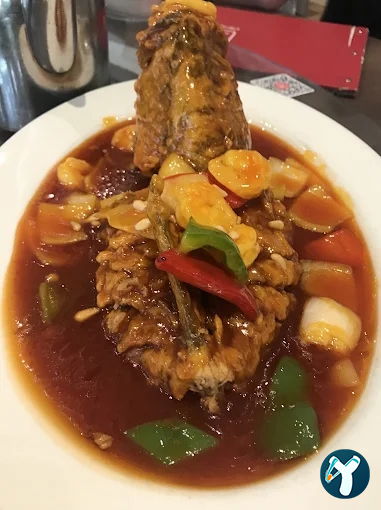 Sini Ethnic Omakase | Fine Dining Restaurant