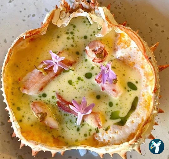 Sini Ethnic Omakase | Fine Dining Restaurant
